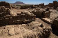 nubia_2023feb16_0253_small.jpg