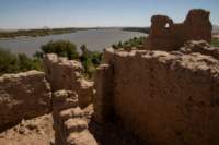 nubia_2023feb16_0257_small.jpg