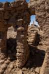 nubia_2023feb16_0259_small.jpg