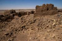 nubia_2023feb16_0262_small.jpg