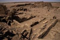 nubia_2023feb16_0263_small.jpg