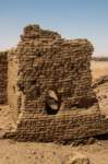 nubia_2023feb16_0265_small.jpg
