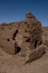 nubia_2023feb16_0266_small.jpg