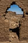 nubia_2023feb16_0267_small.jpg