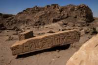 nubia_2023feb16_0268_small.jpg