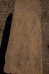 nubia_2023feb16_0269_small.jpg