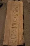 nubia_2023feb16_0270_small.jpg