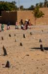 nubia_2023feb16_0286_small.jpg