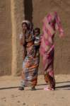 nubia_2023feb16_0287_small.jpg