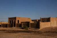 nubia_2023feb16_0292_small.jpg