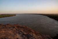 nubia_2023feb16_0307_small.jpg