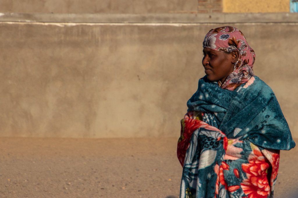 nubia_2023feb17_0316.jpg