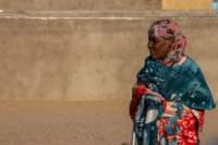 nubia_2023feb17_0316_small.jpg