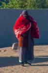 nubia_2023feb17_0318_small.jpg