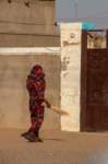nubia_2023feb17_0321_small.jpg