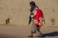 nubia_2023feb17_0326_small.jpg