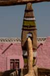 nubia_2023feb17_0331_small.jpg