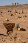 nubia_2023feb17_0336_small.jpg