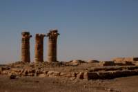 nubia_2023feb17_0338_small.jpg