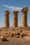 nubia_2023feb17_0339_small.jpg