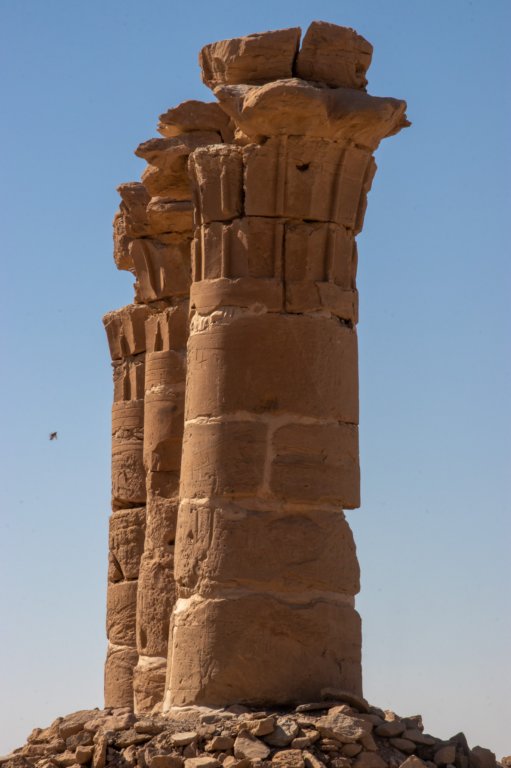 nubia_2023feb17_0340.jpg