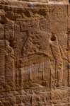 nubia_2023feb17_0341_small.jpg