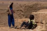nubia_2023feb17_0345_small.jpg