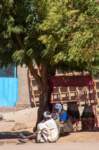 nubia_2023feb17_0361_small.jpg