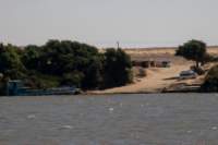nubia_2023feb17_0366_small.jpg