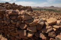 nubia_2023feb17_0403_small.jpg