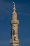 nubia_2023feb17_0428_small.jpg