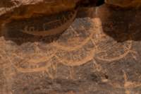 nubia_2023feb17_0431_small.jpg