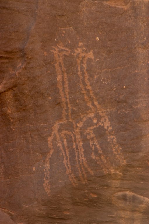 nubia_2023feb17_0433.jpg