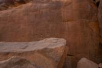 nubia_2023feb17_0434_small.jpg