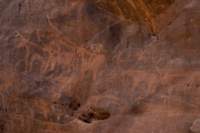 nubia_2023feb17_0437_small.jpg