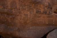 nubia_2023feb17_0439_small.jpg