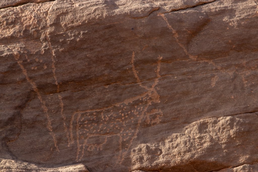 nubia_2023feb17_0443.jpg