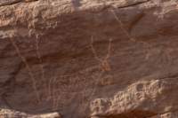 nubia_2023feb17_0443_small.jpg