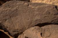 nubia_2023feb17_0445_small.jpg