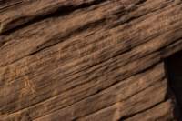nubia_2023feb17_0446_small.jpg