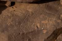 nubia_2023feb17_0447_small.jpg
