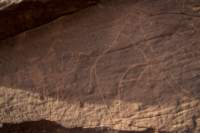 nubia_2023feb17_0448_small.jpg