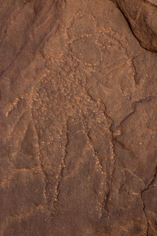 nubia_2023feb17_0449.jpg