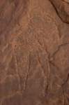nubia_2023feb17_0449_small.jpg