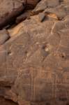 nubia_2023feb17_0450_small.jpg