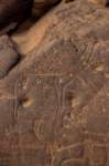 nubia_2023feb17_0451_small.jpg