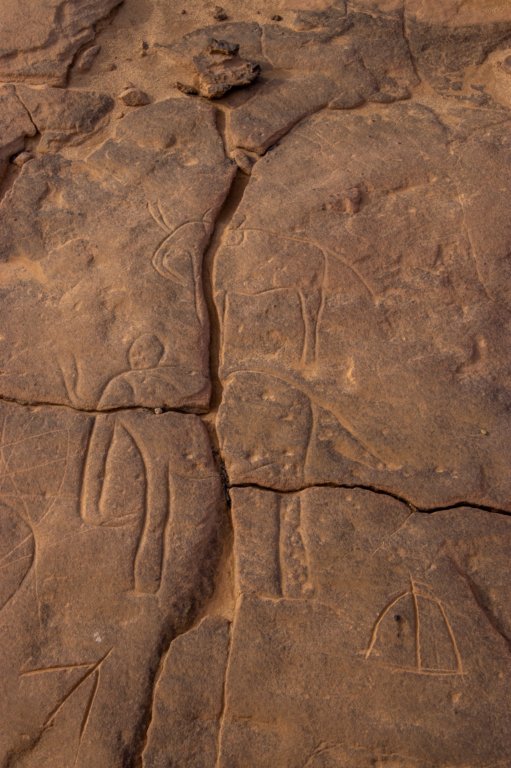 nubia_2023feb17_0452.jpg