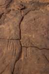 nubia_2023feb17_0452_small.jpg