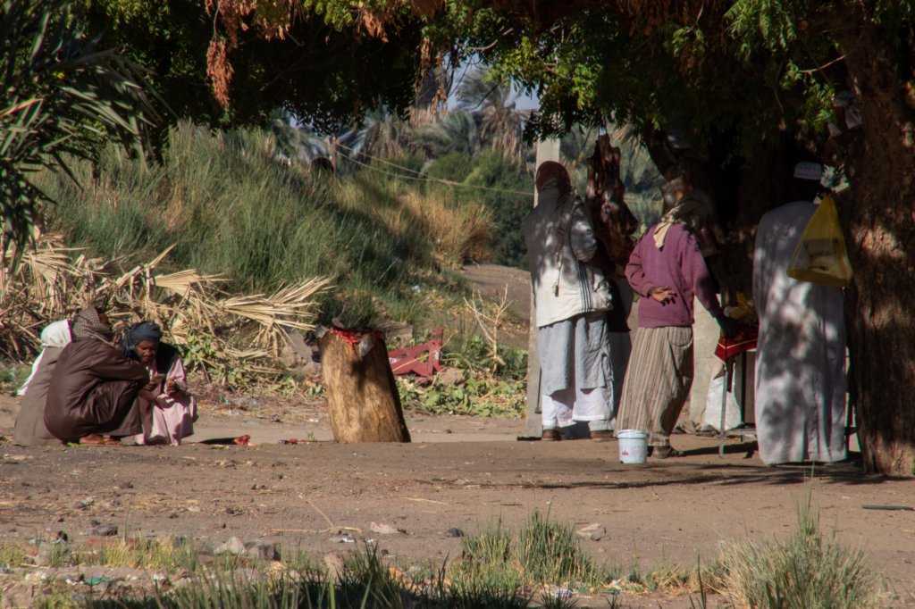 nubia_2023feb18_0462.jpg