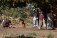 nubia_2023feb18_0462_small.jpg